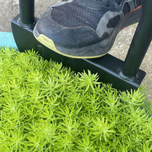 Load image into Gallery viewer, Saw-Tooth Edger Lawn Tool