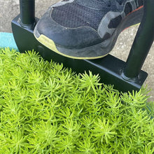 Load image into Gallery viewer, Saw-Tooth Edger Lawn Tool