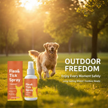 Load image into Gallery viewer, Gentle Dog Skin Care Spray for Indoor &amp; Outdoor Use