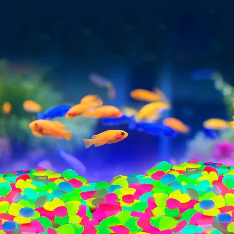 Glow In The Dark Rocks