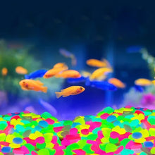 Load image into Gallery viewer, Glow In The Dark Rocks