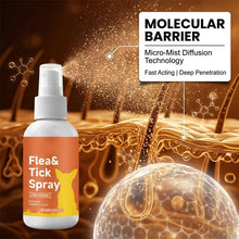 Load image into Gallery viewer, Gentle Dog Skin Care Spray for Indoor &amp; Outdoor Use