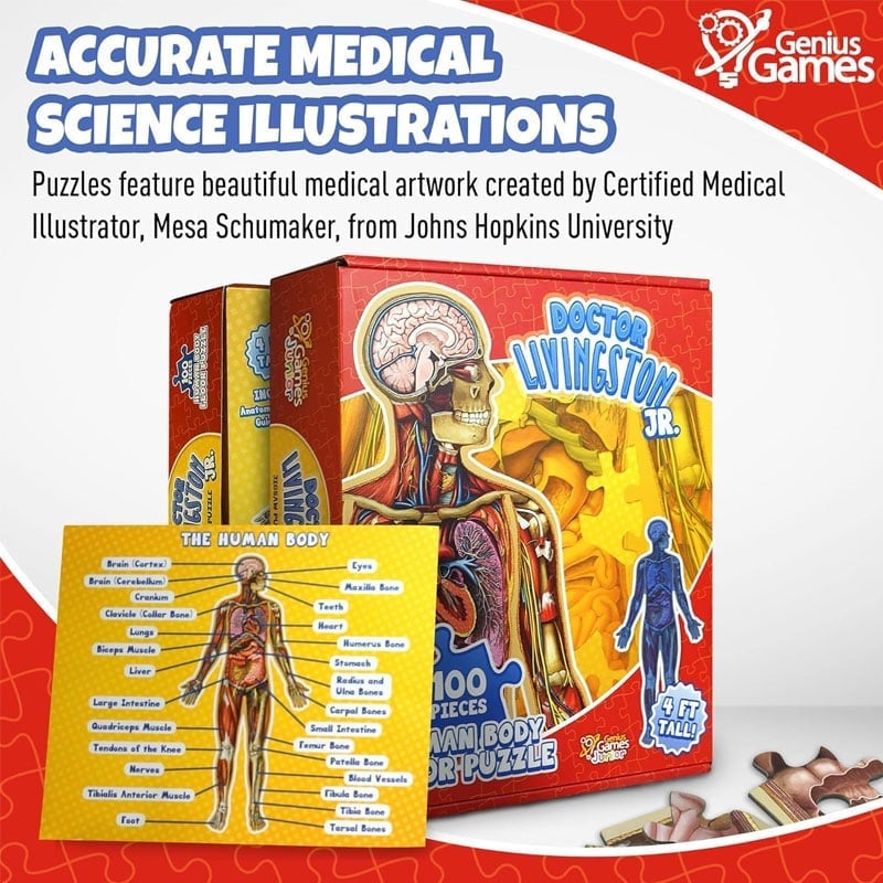 Human Anatomy Puzzle for Kids