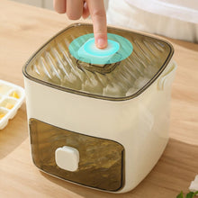 Load image into Gallery viewer, Handled Press-Type Ice Cube Tray (Double-Layer)