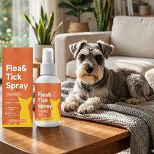 Load image into Gallery viewer, Gentle Dog Skin Care Spray for Indoor &amp; Outdoor Use