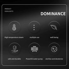 Load image into Gallery viewer, Steam Disinfection Cleaner (SK-01)