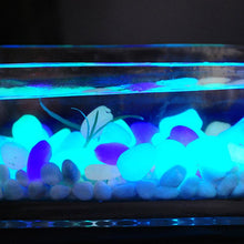 Load image into Gallery viewer, Glow In The Dark Rocks
