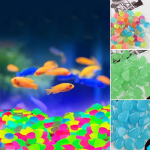 Load image into Gallery viewer, Glow In The Dark Rocks