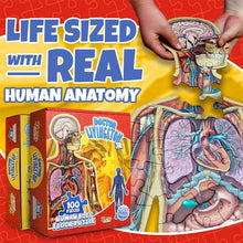 Load image into Gallery viewer, Human Anatomy Puzzle for Kids
